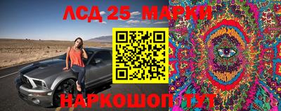 СК Новозыбков