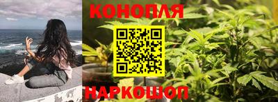 СК Новозыбков