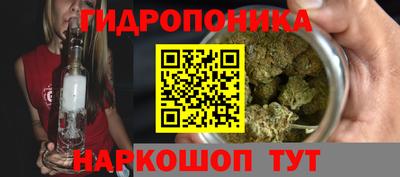 бошки Новокубанск