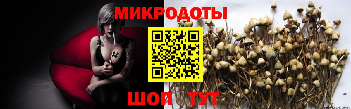 купить закладку  Псилоцибиновые грибы MAGIC MUSHROOMS  Вход с VPN  Ногинск 